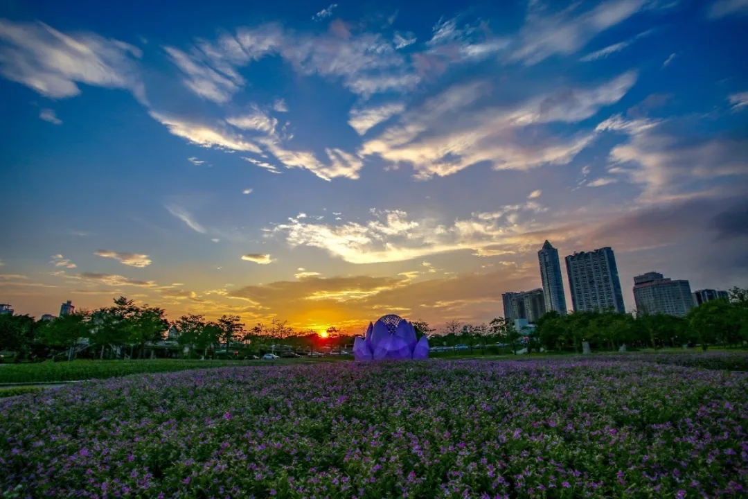 1602829032857063.jpg 640.webp (6).jpg